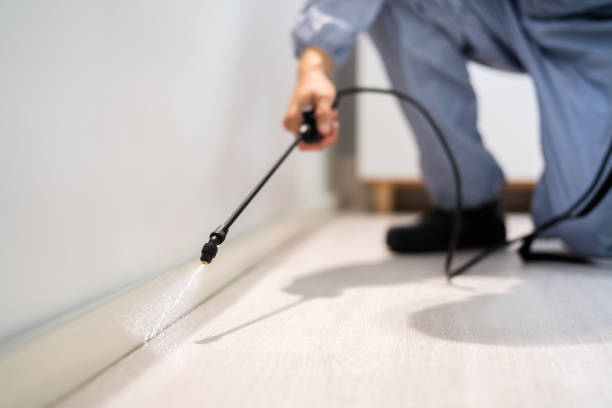 Licensed Pest Control service in Anoka, MN - Show Me Pest Control