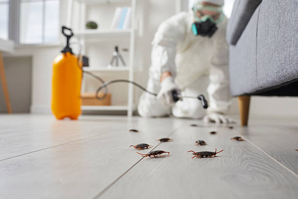 Post-Treatment Bed Bug Interceptor Monitoring in Anoka