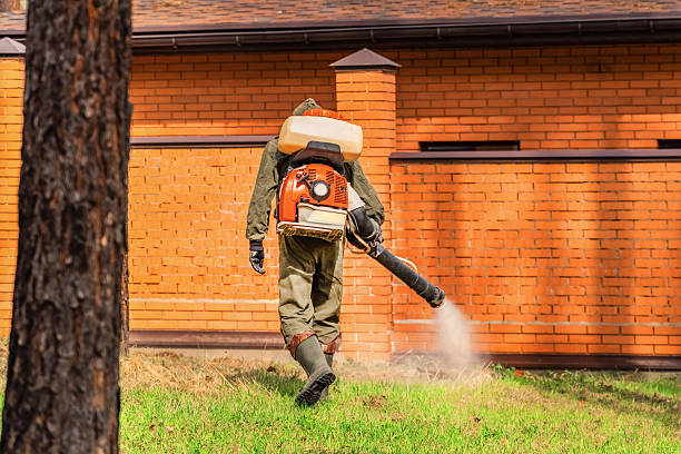 Bed Bug Clearance Verification and Documentation in Anoka